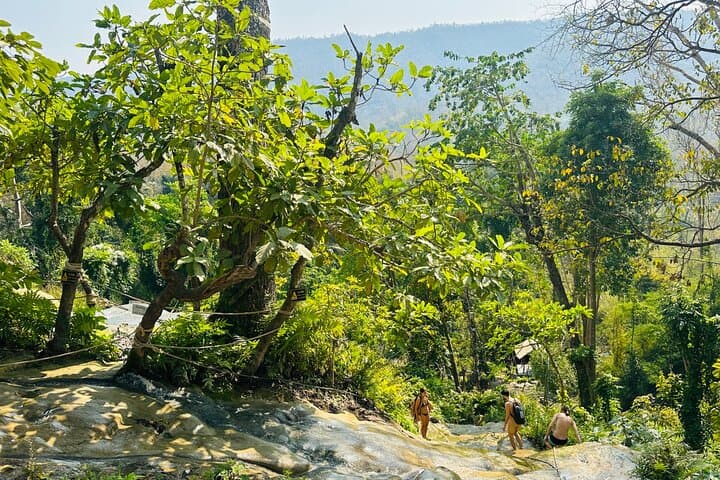 Chiang Mai Sticky Waterfall & Ethical Elephant Sanctuary Day Trip with Blue Temple photo 3
