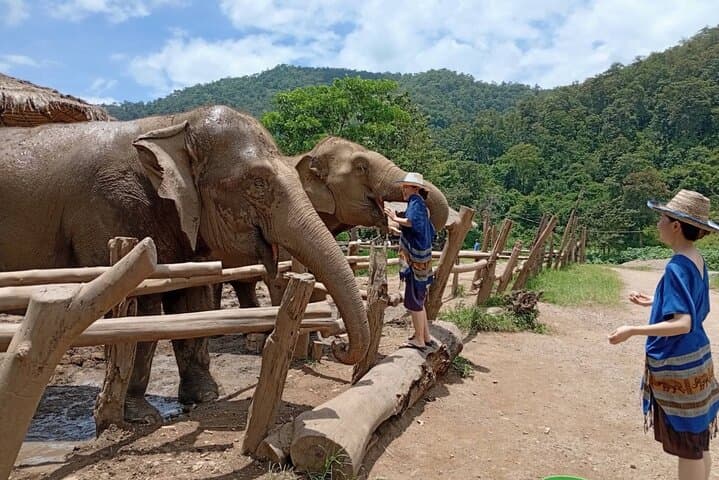 Chiang Mai Sticky Waterfall & Ethical Elephant Sanctuary Day Trip with Blue Temple photo 5