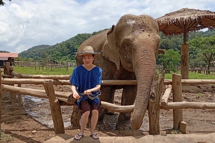 Chiang Mai Sticky Waterfall & Ethical Elephant Sanctuary Day Trip with Blue Temple photo 6