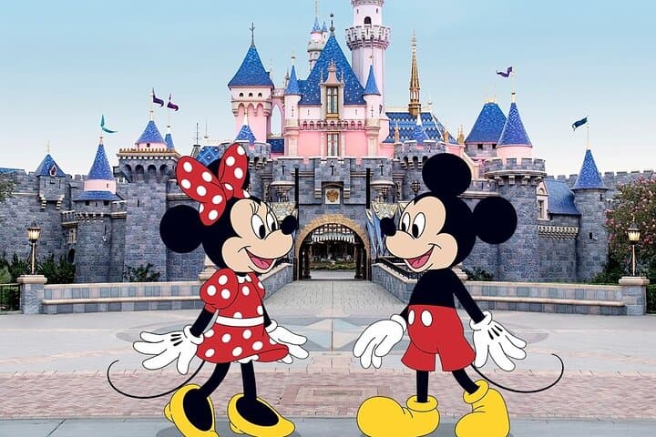 Private Tokyo–Disneyland Transfer with English Driver | One-Way or Round-Trip