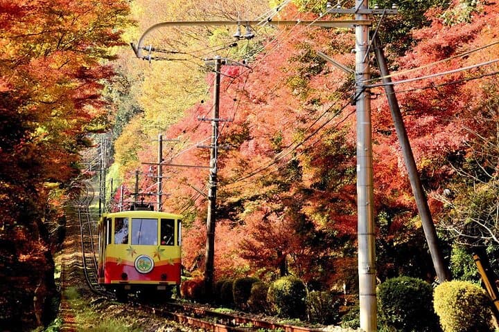 Mount Takao Walking Tour: Monkeys, Temple Pilgrimage & Forest Trails from Tokyo photo 3