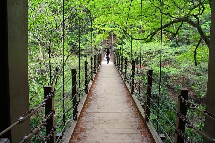 Mount Takao Walking Tour: Monkeys, Temple Pilgrimage & Forest Trails from Tokyo photo 4