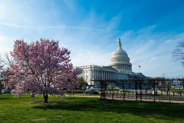Foggy Bottom App-Led Scavenger Hunt — Interactive Washington, D.C. City Game photo 2