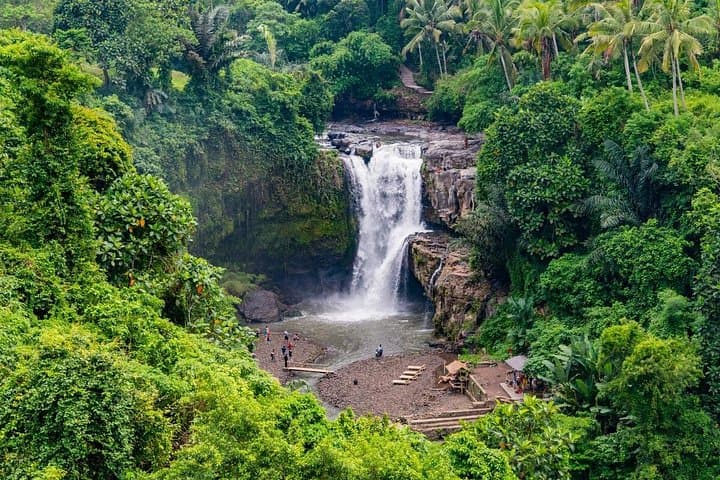Ubud Day Trip: Monkey Forest, Tegalalang & Tegenungan Waterfall in One Day photo 6
