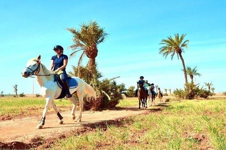 Palmeraie Grove Horseback Ride: 2-Hour Guided Ride & Transfer from Marrakesh