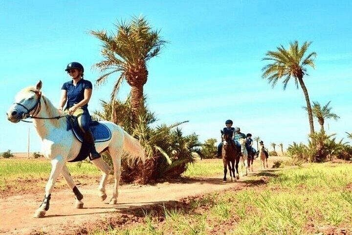 Palmeraie Horseback Ride: One-Hour Oasis Trail with Mint Tea & Atlas Views photo 3