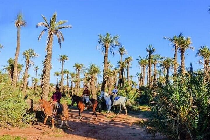 Palmeraie Grove Horseback Ride: 2-Hour Guided Ride & Transfer from Marrakesh photo 4