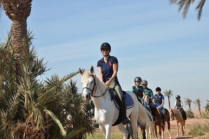 Palmeraie Grove Horseback Ride: 2-Hour Guided Ride & Transfer from Marrakesh photo 5