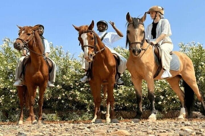 Palmeraie Grove Horseback Ride: 2-Hour Guided Ride & Transfer from Marrakesh photo 6