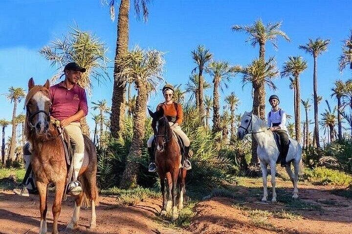 Palmeraie Horseback Ride: One-Hour Oasis Trail with Mint Tea & Atlas Views photo 6