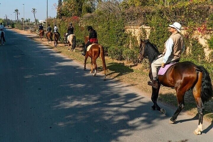 Palmeraie Grove Horseback Ride: 2-Hour Guided Ride & Transfer from Marrakesh photo 3