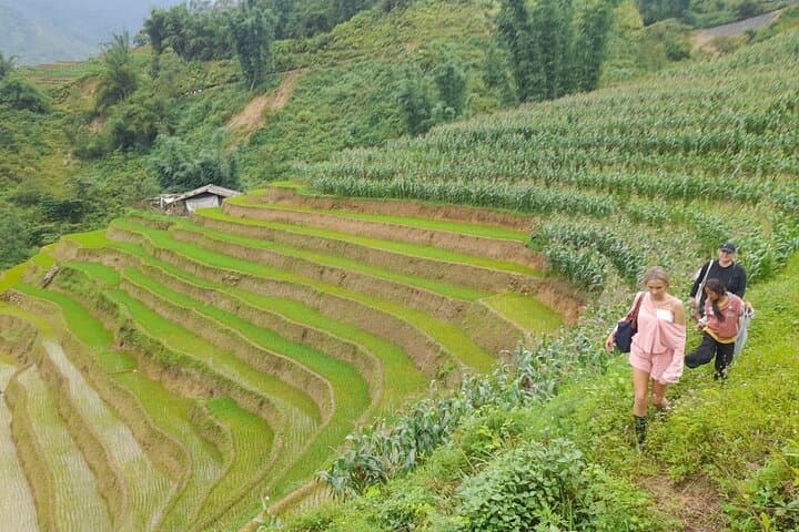 Sapa Homestay Trek: Fansipan Peak & Muong Hoa Valley 3-Day Trek photo 5