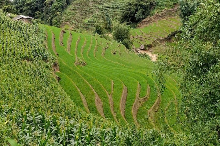 Sapa Homestay Trek: Fansipan Peak & Muong Hoa Valley 3-Day Trek photo 2