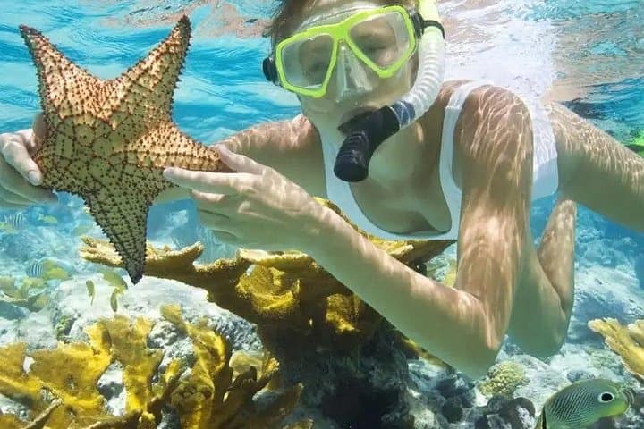 3-Island Snorkeling Trip from An Thoi — Phu Quoc Coral Reefs & Beach Bar Escape photo 2