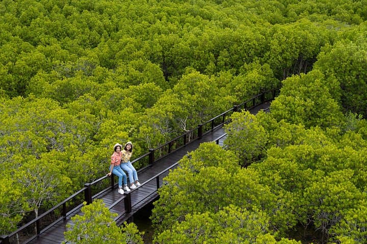 Pranburi Mangrove Swamp and River Cruise — Pranburi River Boat Tour from Hua Hin