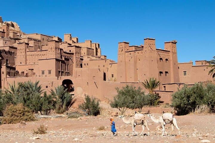 Private Zagora Overnight Desert Camp & Camel Ride from Marrakesh photo 5