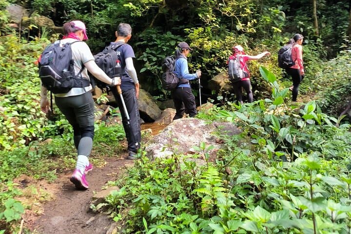 2-Day Ta Lien Son Trek: Summit Vietnam's 6th Highest Peak from Sapa photo 5