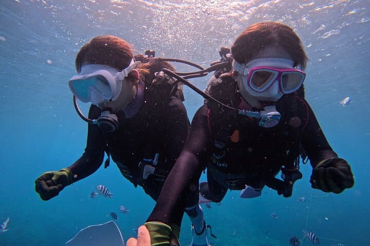 Blue Cave Boat Dive in Onna Village — Guided Entry to Okinawa’s Underwater Cathedral photo 4