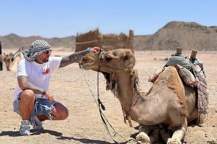 Hurghada Desert Quad & Bedouin Village: 3-Hour ATV and Camel Ride