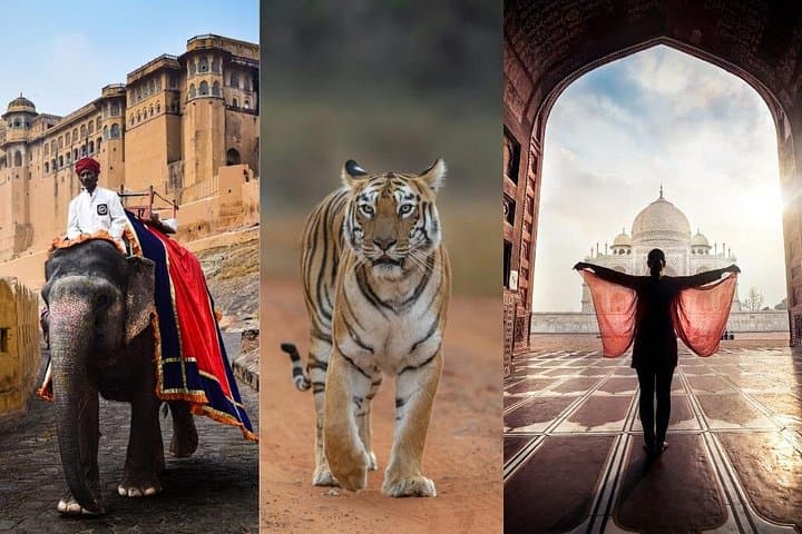 7-Day Golden Triangle Tour: Taj Mahal, Ranthambore Tiger Safaris & Udaipur photo 1