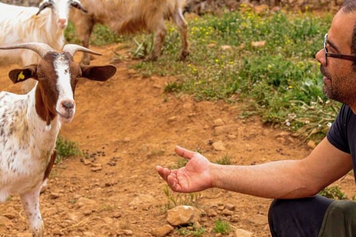 Seulo Farm Tour with Tasting: Rural Sardinia Cheese & Salami Experience photo 4