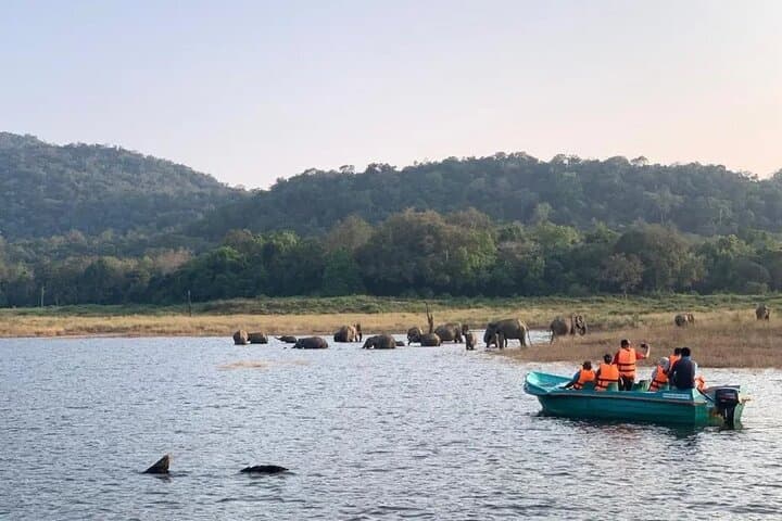 Gal Oya Boat & Jeep Safari from Arugam Bay — Elephant Boat Safaris on Senanayake Samudraya