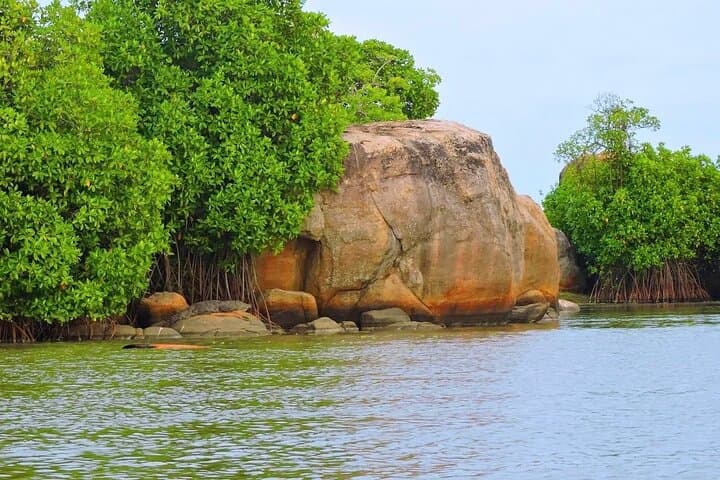 Pottuvil Lagoon Paddle Safari: Wildlife & Mangroves Near Arugam Bay photo 2