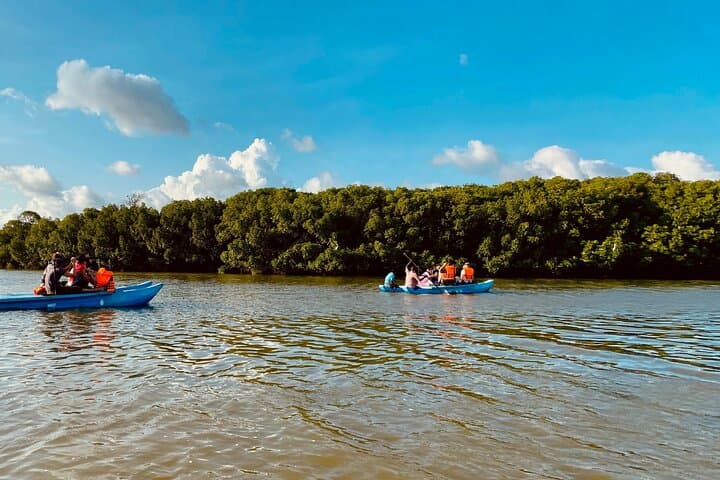Pottuvil Lagoon Paddle Safari: Wildlife & Mangroves Near Arugam Bay photo 3