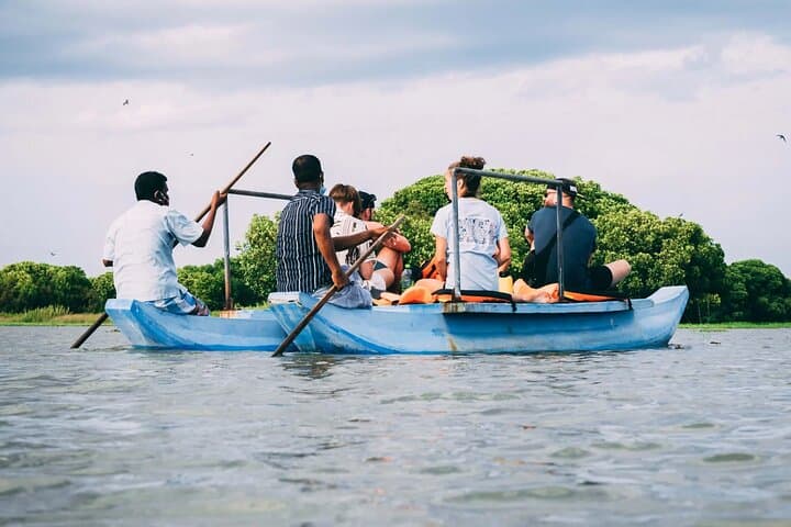 Pottuvil Lagoon Paddle Safari: Wildlife & Mangroves Near Arugam Bay photo 6