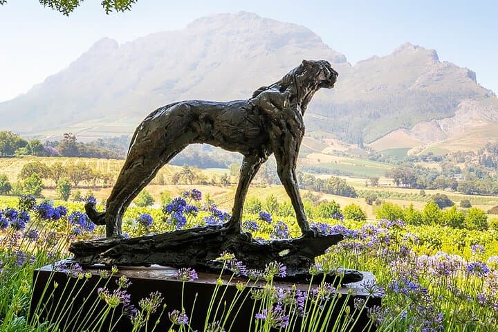 Full-Day Cape Winelands Private Wine Tour from Stellenbosch photo 5