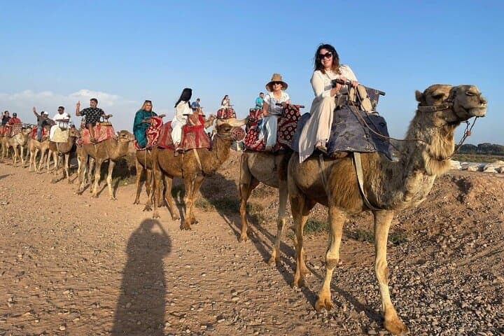 Agadir Camel Ride & Berber BBQ: Eucalyptus Trail, Flamingos and Couscous photo 4