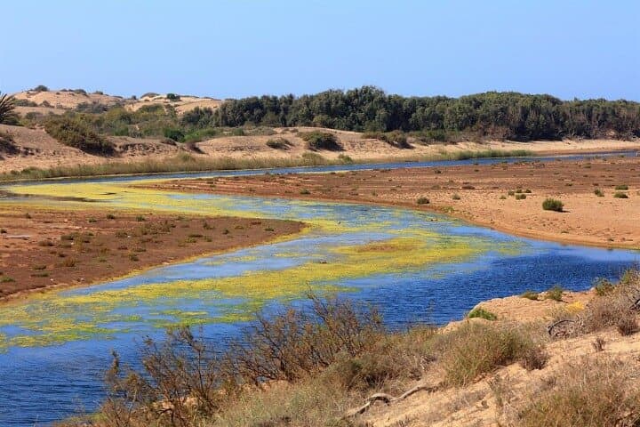 Half-Day to Souss-Massa National Park and Tifnit: Birds, Cliffs & Mini Sahara near Agadir photo 3