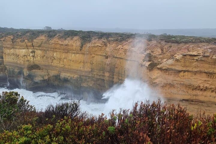 Luxury Great Ocean Road Tour from Melbourne — Twelve Apostles, Otways & Wildlife photo 3