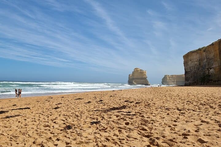 Luxury Great Ocean Road Tour from Melbourne — Twelve Apostles, Otways & Wildlife photo 4