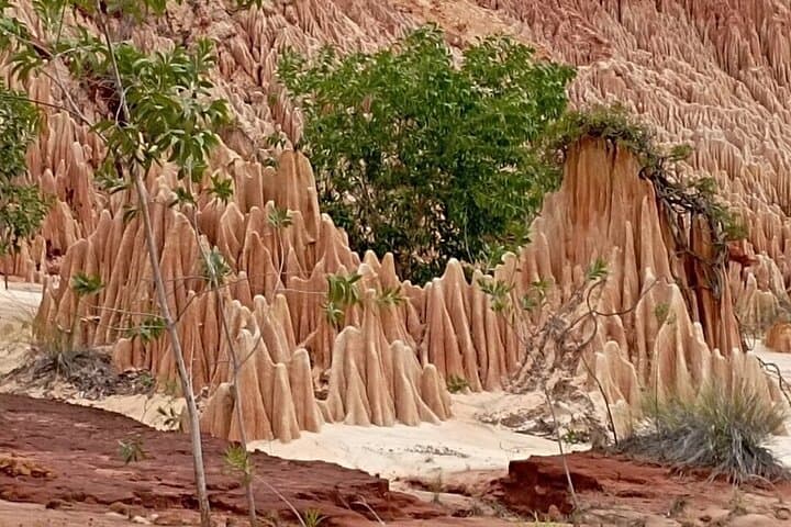 Red Tsingy Half-Day Tour from Diego Suarez — Madagascar’s Red Sandstone Spires photo 5