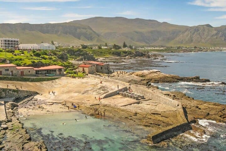 Wine and Whales: Full-Day Hemel-en-Aarde and Hermanus Private Tour from Cape Town photo 3