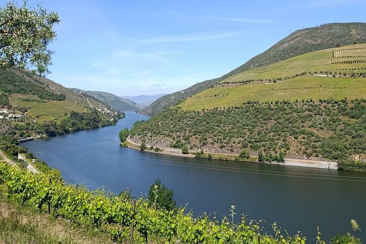 Douro Valley Private Sommelier Tour: Full-Day Wine Tasting, Lunch & River Cruise