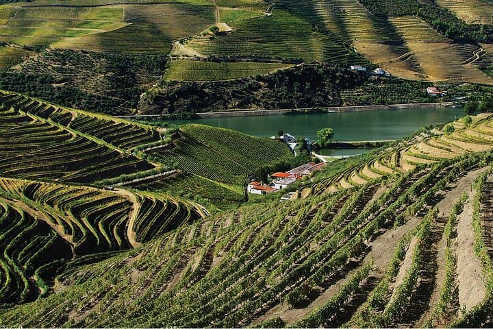 Douro Valley Private Sommelier Tour: Full-Day Wine Tasting, Lunch & River Cruise photo 2