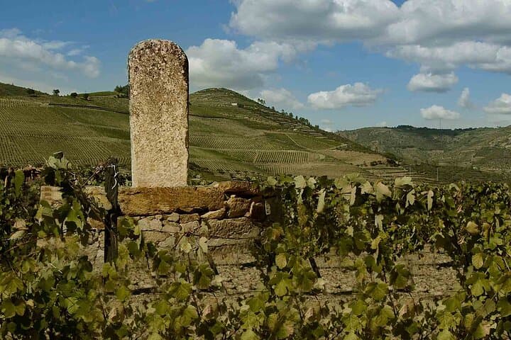 Douro Valley Private Sommelier Tour: Full-Day Wine Tasting, Lunch & River Cruise photo 4