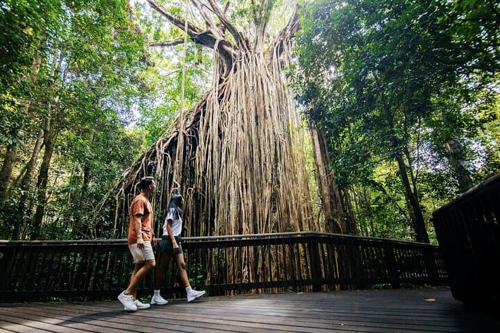 Ultimate 9-Day Adventure from Brisbane to the Daintree, Whitsundays & Great Barrier Reef photo 2