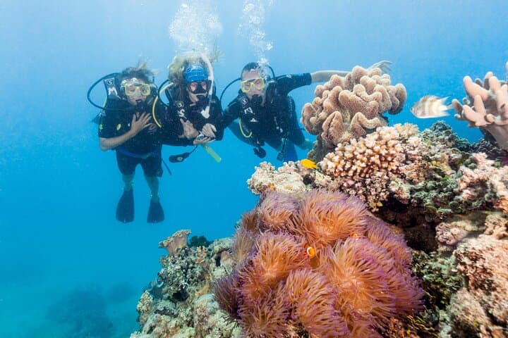 Brisbane to Cairns: 7-Day Boutique Whitsundays & Great Barrier Reef Adventure