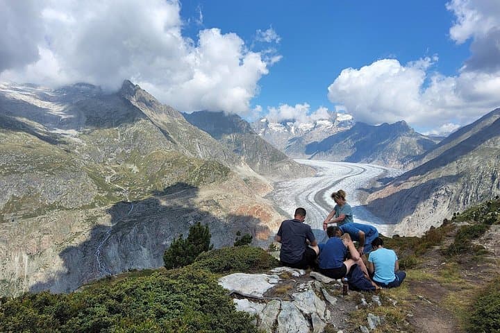 Aletsch Glacier Day Trip from Zurich: Bettmerhorn & Bettmeralp Views