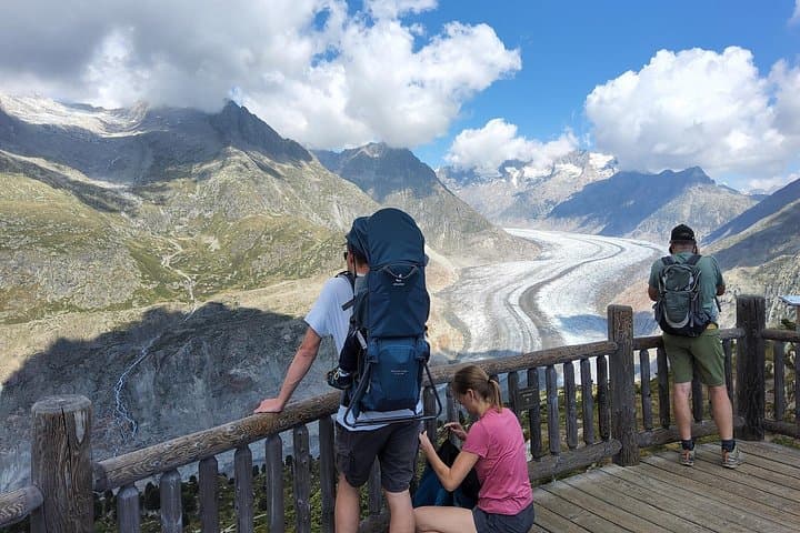 Aletsch Glacier Day Trip from Zurich: Bettmerhorn & Bettmeralp Views photo 3
