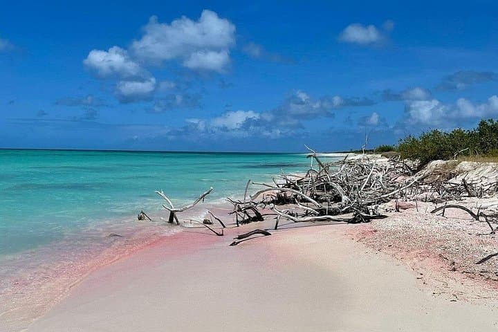 Custom Private Tour of Antigua — Design Your Perfect Island Day photo 1