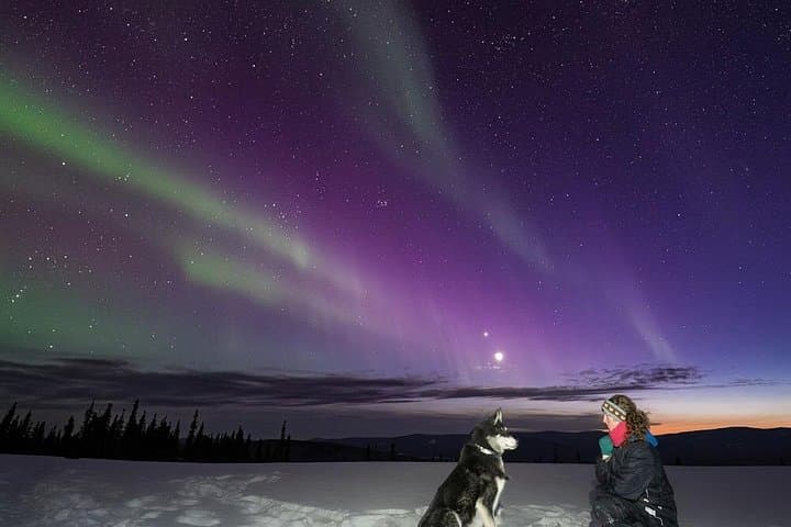 Aurora Activity at Sluice Box Sled Dogs — Homestead Lights & Sled Dog Encounters photo 3