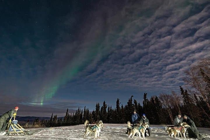 Aurora Activity at Sluice Box Sled Dogs — Homestead Lights & Sled Dog Encounters photo 4