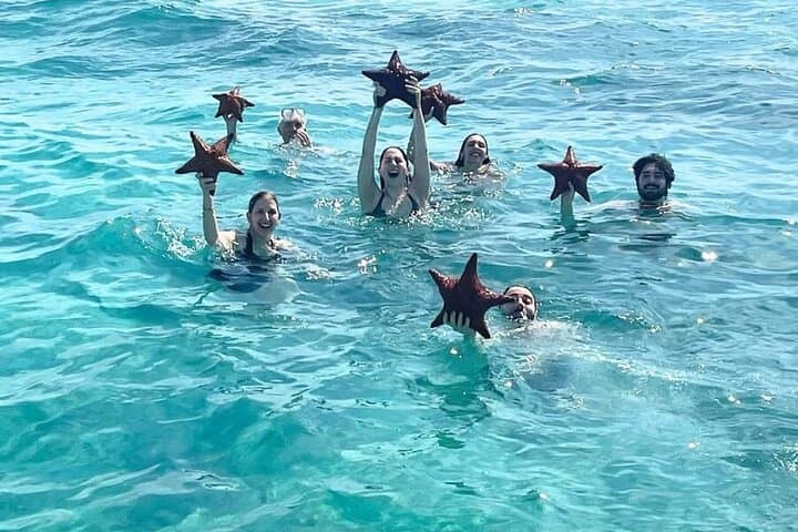 Half-Day Catamaran Snorkel Tour to Iguana Island — Providenciales photo 2