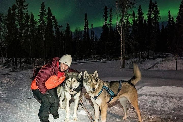 Aurora Activity at Sluice Box Sled Dogs — Homestead Lights & Sled Dog Encounters photo 5
