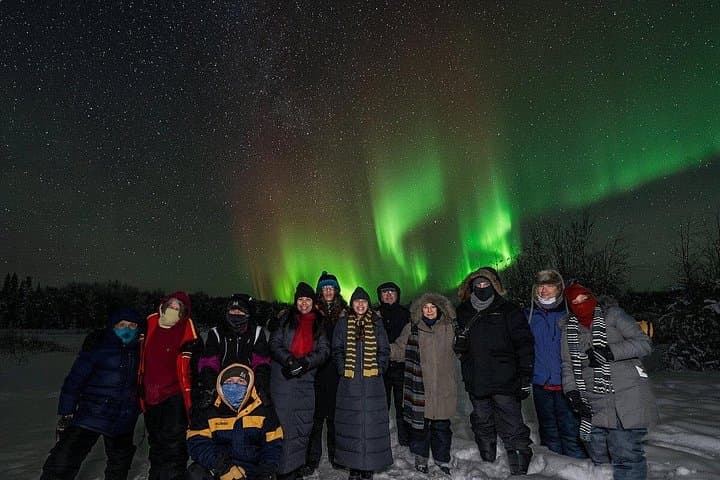 Aurora Activity at Sluice Box Sled Dogs — Homestead Lights & Sled Dog Encounters photo 6