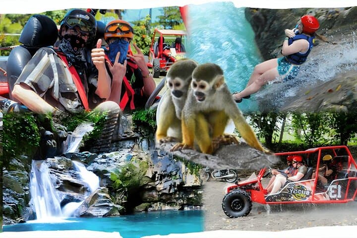 Puerto Plata Monkeyland, Damajagua Waterfalls & Buggy Adventure — Full-Day Tour